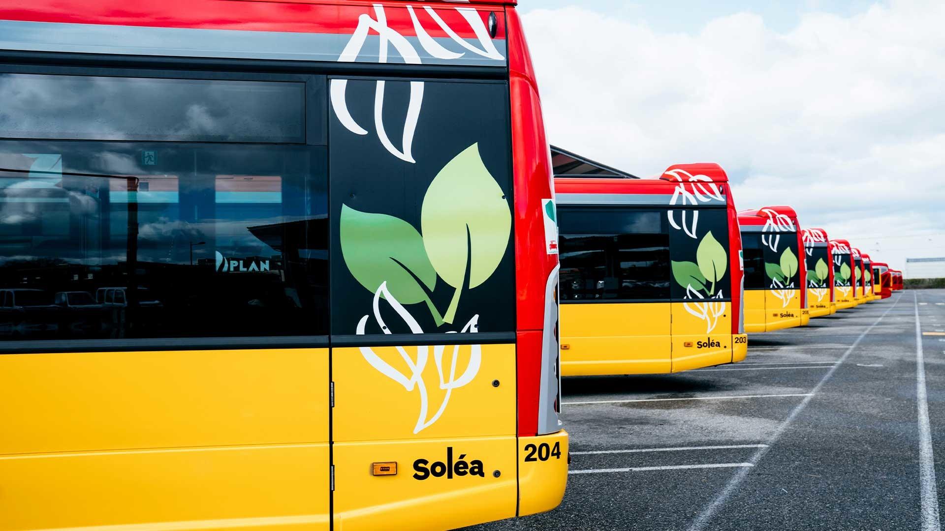 bus-biogaz-gnv-credit-mulhouse-m2a